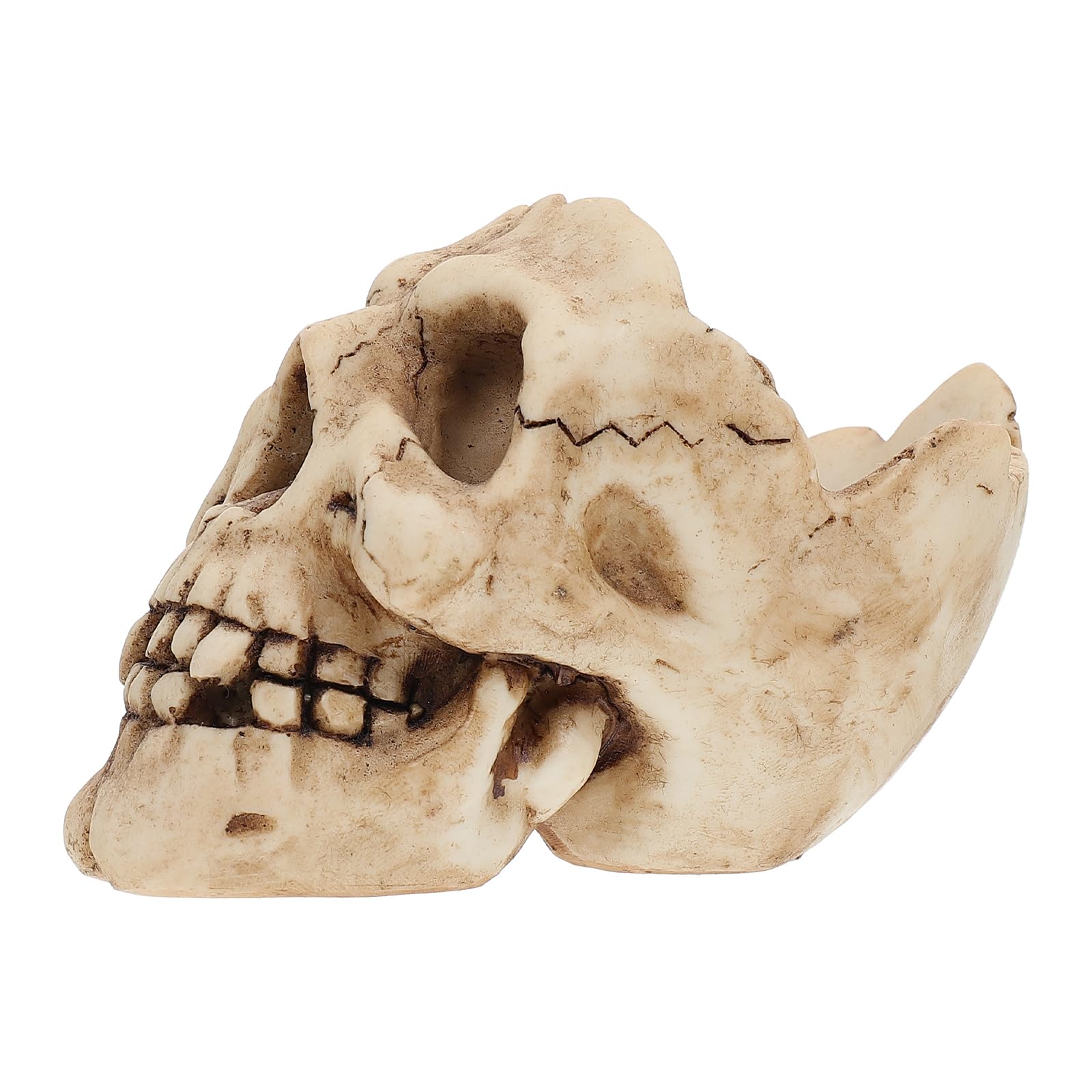 Ciieeo Resin Skull Ashtray Halloween Skull Holder for Bar Shop Home Decoration Unique Smoking Accessory for Parties and Living Atmosphere