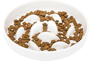 GUWINA Ceramic Slow Feeder Cat Bowl 6.3'' Wide, Shallow Slow Eating Cat Bowl for Dry and Wet Food, Anti Gulping Pet Puzzle Feeder for Cats and Small Dogs, Dishwasher Safe (White)