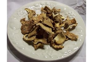 OREGON MUSHROOMS Dried Oyster Mushrooms 1LB