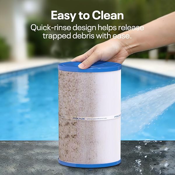 POOLPURE OVAL FILTER SPA FILTER PDM30 COMPATIBLE WITH DREAM MAKER HOT TUBS 461269, 261272, 361269, 461272, 30 SQ.FT HOT TUB FILTER CARTRIDGE 2PACK
