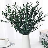 Dried Eucalyptus Leaves Stems, Preserved Eucalyptus Plant, Real Greenery Branches Bundle for Wedding Wreath Party Home Fragra