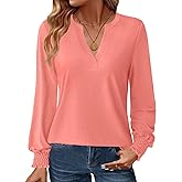 GKBK Womens Long Sleeve Shirts Fall Tops V Neck Business Dressy Casual Blouses with Smocked Cuffs