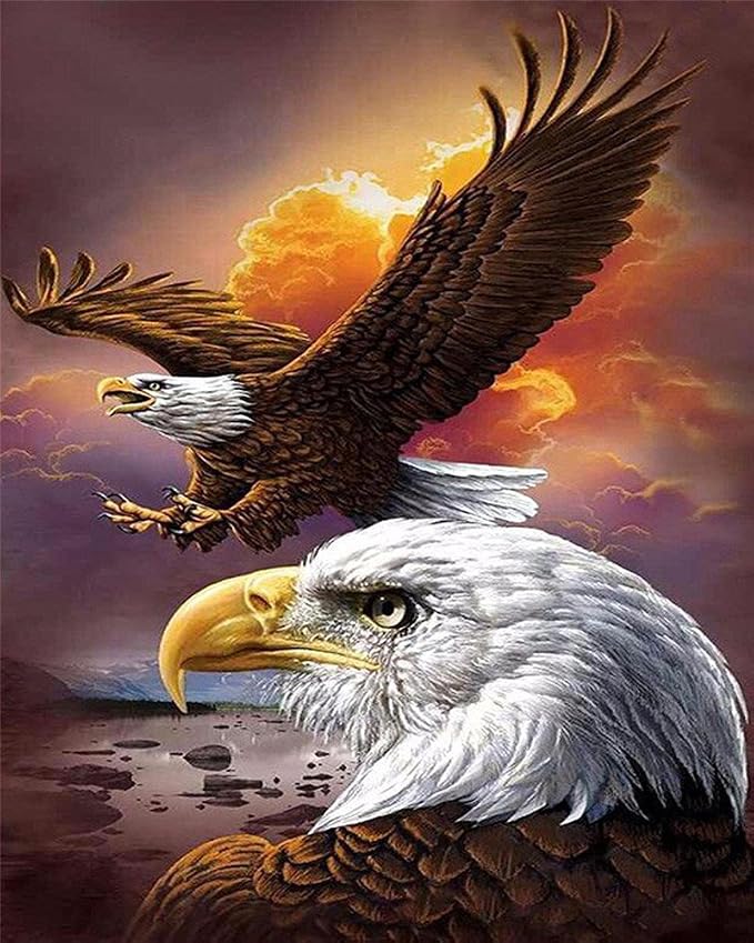 DIY Oil Painting Paint by Number Kit for Kids Adults Beginner 16x20