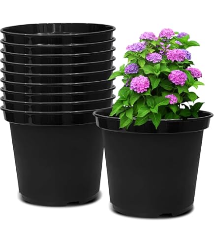 15-Pack Green Plastic Azalea Pots - 4 Inch Greenhouse Nursery Planters (Indoor/Outdoor)