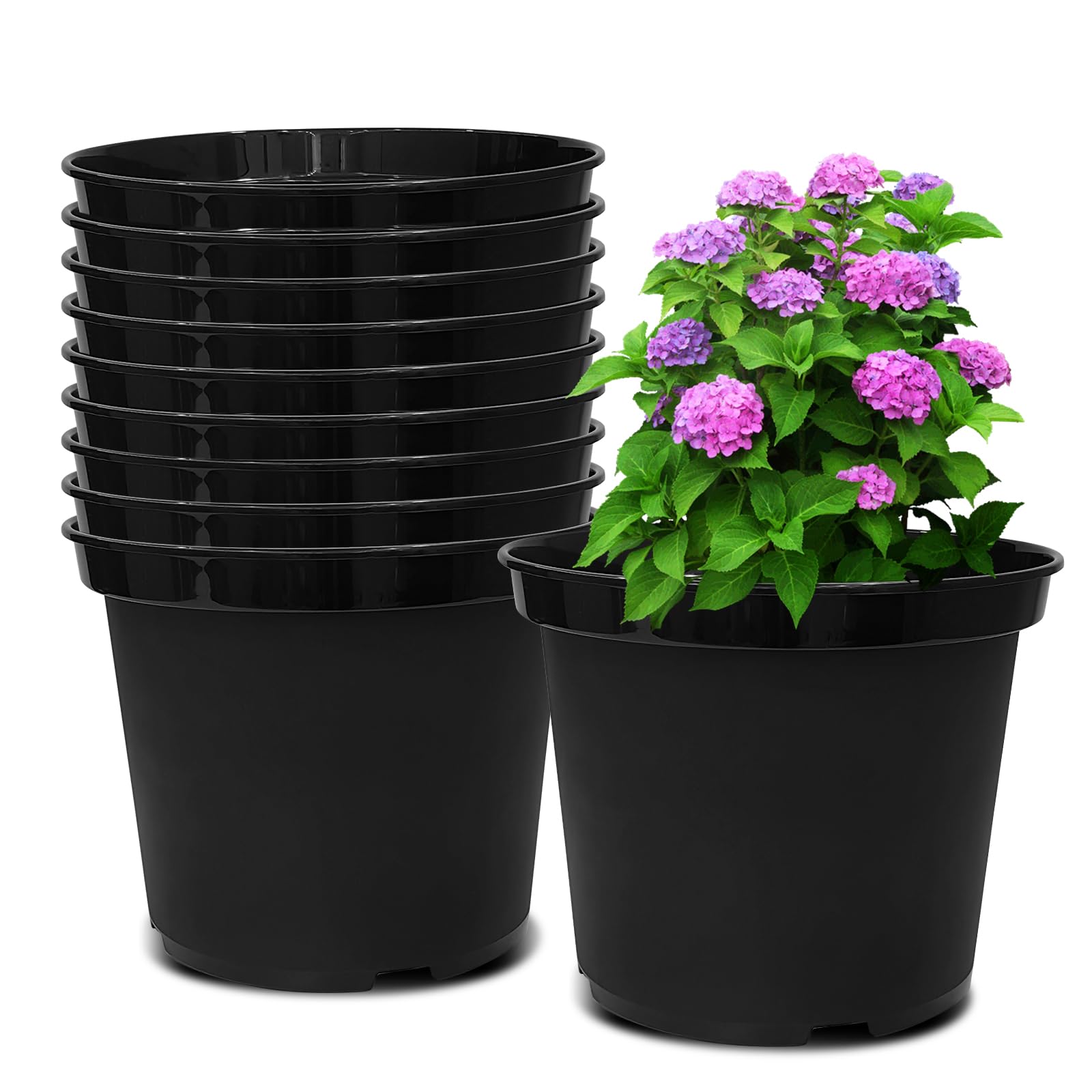 RooTrimmer 3 Gallon Plastic Nursery Pots, 10 Inch Round Plant Pots with ...