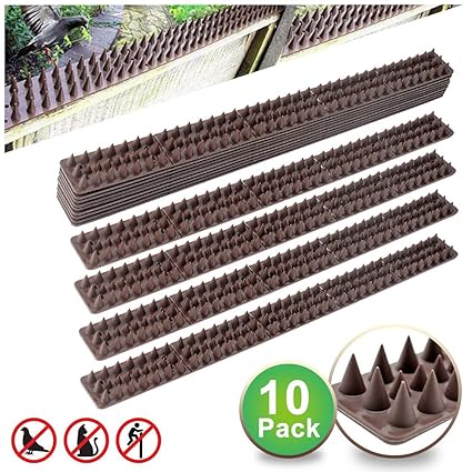 Forever Speed 10pcs X Taubenabwehr Vogelabwehr Spikes