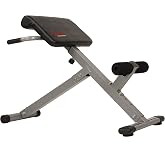 Sunny Health &amp; Fitness Multi-Function Roman Chair | Adjustable Height, Folds Flat for Storage, Built in Dip Station, Targets Back, Abs &amp; Core, Crunches &amp; Back Extensions