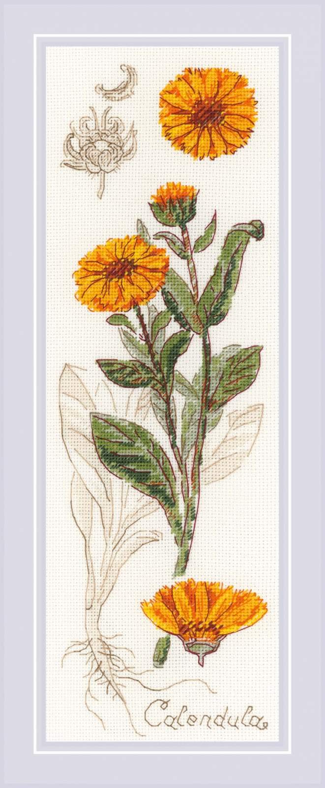 RIOLIS Cross Stitch Kit - 1798 - Calendula