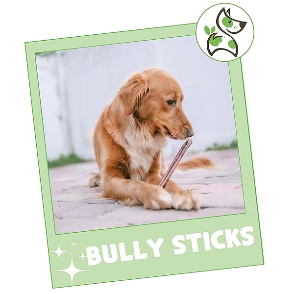 NATURE GNAWS BULLY STICKS FOR DOGS 11-12″ (8OZ) – MIXED THICKNESS – LONG LASTING FOR AGGRESSIVE CHEWERS AND LARGE DOGS – NATURAL BEEF DOG CHEW BONES