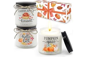 HURAY RAYHO Fall Candles Gift Box Set Hello Fall Pumpkin Spice Fresh Apple Harvest Autumn Holiday Centerpiece Decoration Fall Thanksgiving Presents for Her Set of 3