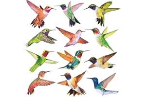 Anti-Collision Window Clings Bird Alert Collision Decals to Prevent Bird Strikes on Window Glass - Set of 12 Hummingbirds