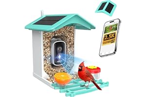 isYoung Smart Bird Feeder Camera (Dual Panel), Solar Powered, Identify 16,000+ Birds with AI, Auto Capture & Notify, 2.5K HD 