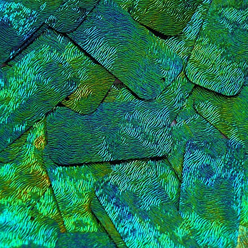 Sequin Long Rectangle 1.5