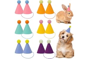 DRANSMIC 12pcs Mini Party Hats for Stuffed Animals, Birthday Party Cone Hats Dolls Dog Cat Rabbit Puppies Assorted Animal Birthday Decorations