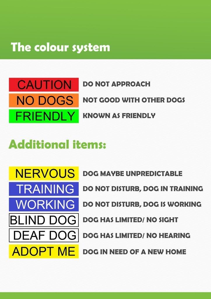 Dexil NO DOGS (Not Good With Other Dogs) Orange Warning Dog Colour Coded Luxury Padded Personalised 1.8m 6ft Lead Leash To Prevent Accidents or Incidents. Dog Award Winning - Image 3