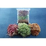 Live Sphagnum Moss Variety Pack - For Terrariums, Carnivorous Plants - Quart Bag