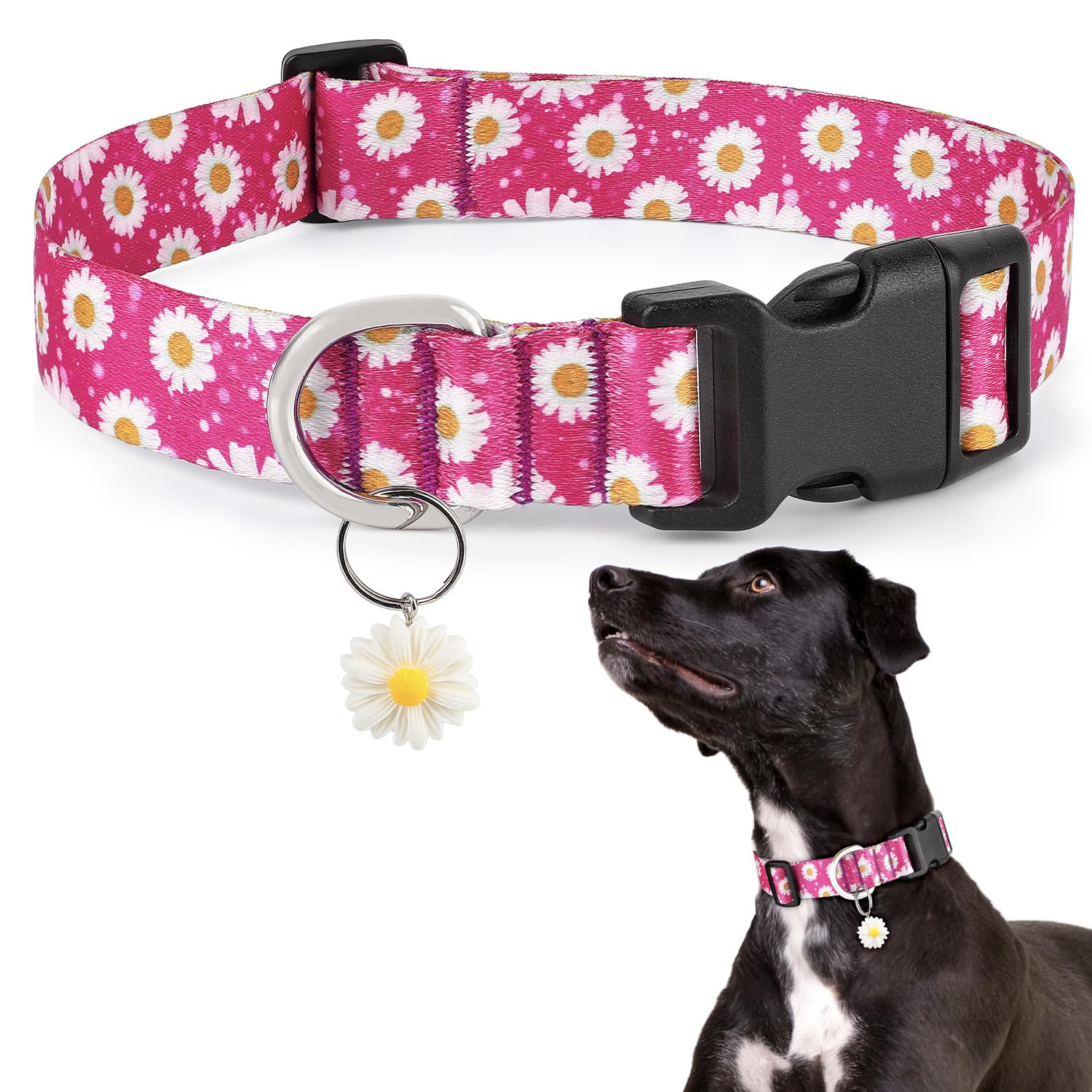Ayaseen Daisy Flower Dog Collar, Cute Small Dog Collar with Floral Daisy Charm, Spring Summer Pink Collars for Boy Girl Female Male Dogs(Pink, S)