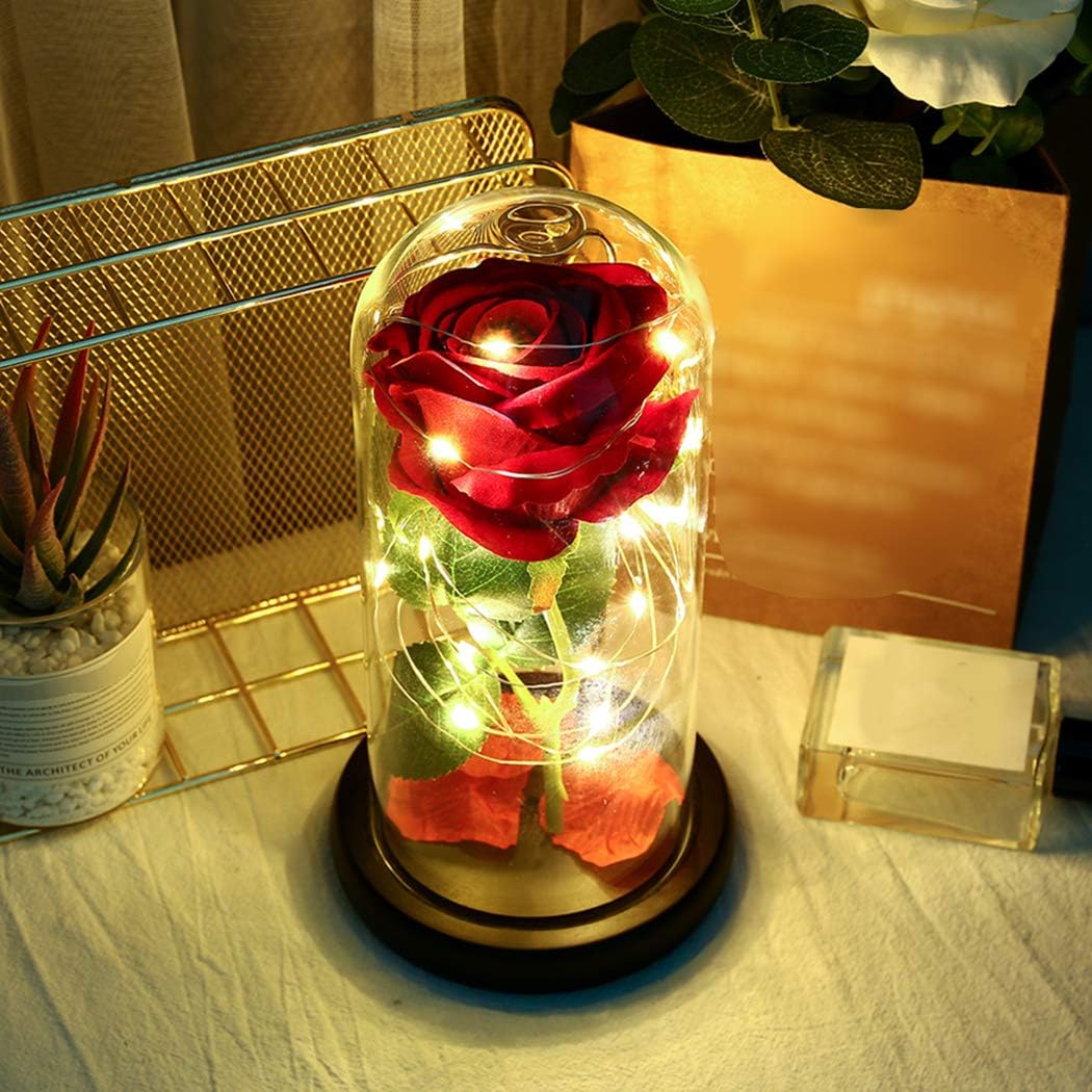 Artificial Rose Flowers Preserved Rose LED String Lights La Bella y la