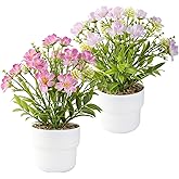 TerraVerve 2-Piece Artificial Table Plant , Lifelike Indoor Plants for Home, Office, Bedroom, Bathroom Decor ,Rustic Farmhouse Style mini Potted plantsry