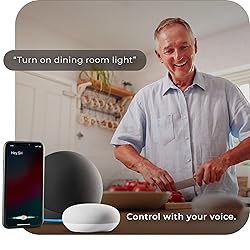 Globe Electric 34207 Wi-Fi Smart 10 Watt