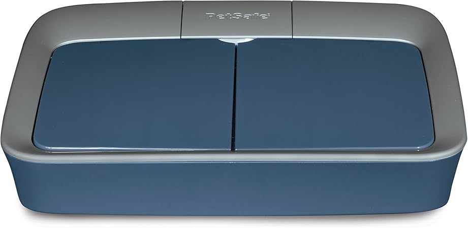 digital two meal feeder