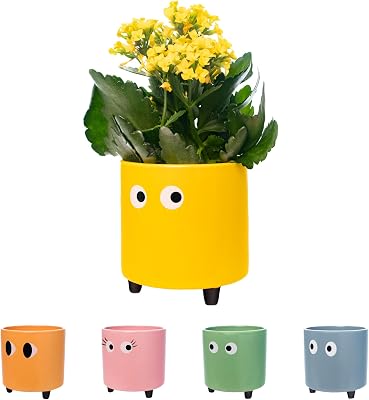 - Vaso de flores original com design de olhos. Interior decorativo. Vaso de flores com pernas para cacto. Vaso de cerâmica amarelo para flores e suculentas. 13 x 12,5 cm.