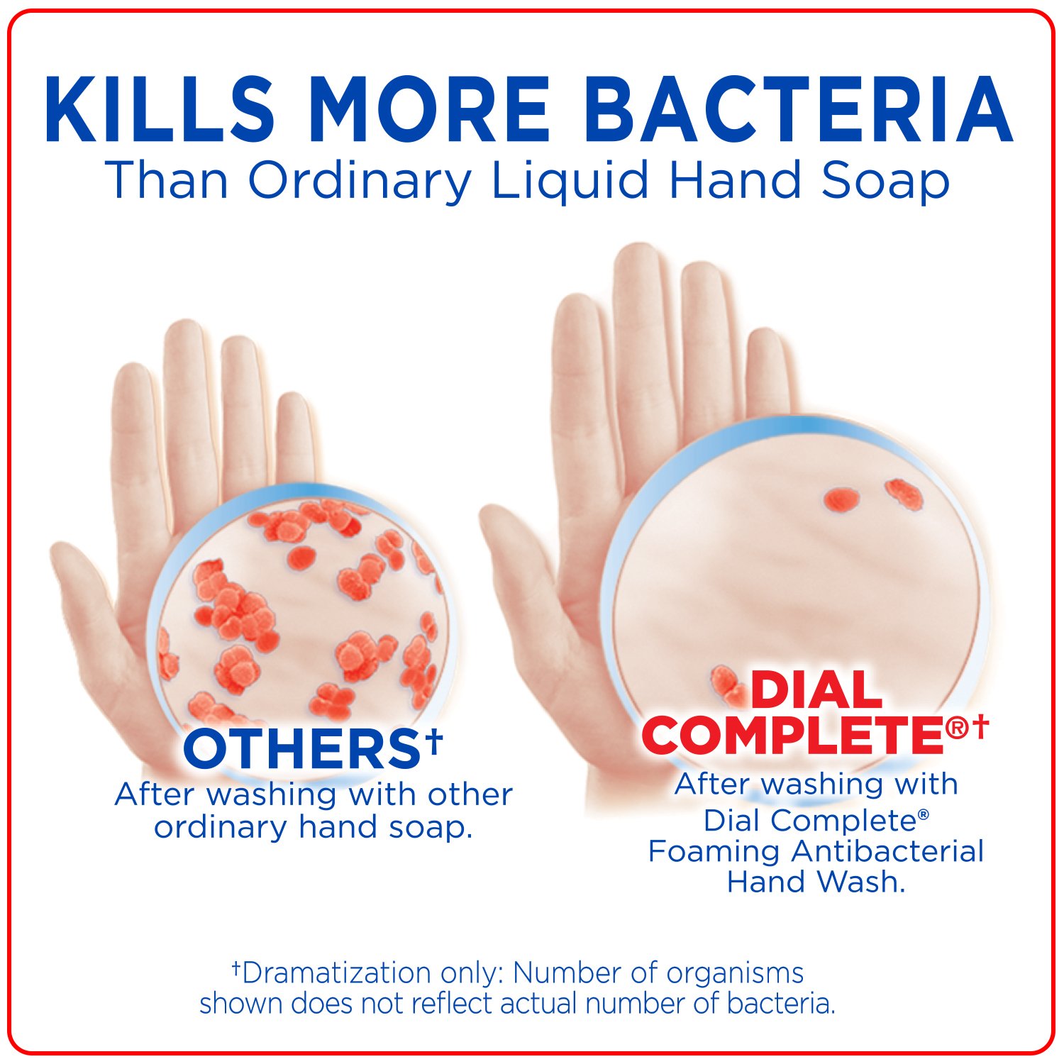 Dial Complete Antibacterial Foaming Hand Wash, Power Berries, 7.5 Ounce : Beauty