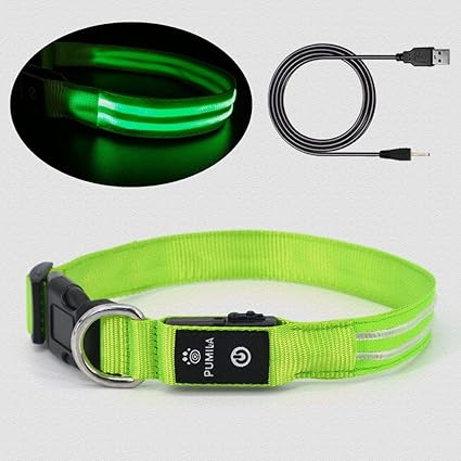 Lighted Dog Collar