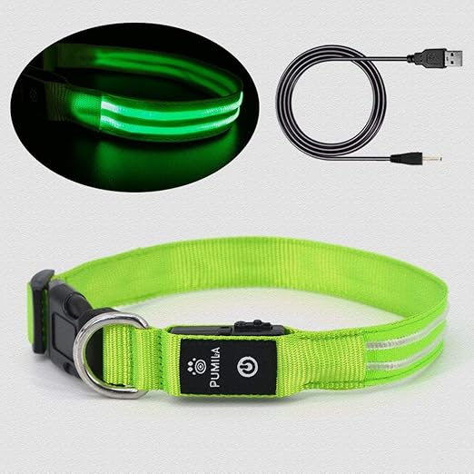 Rechargeable Led Dog Collar Waterproof Light Up Dog Collar, Safety