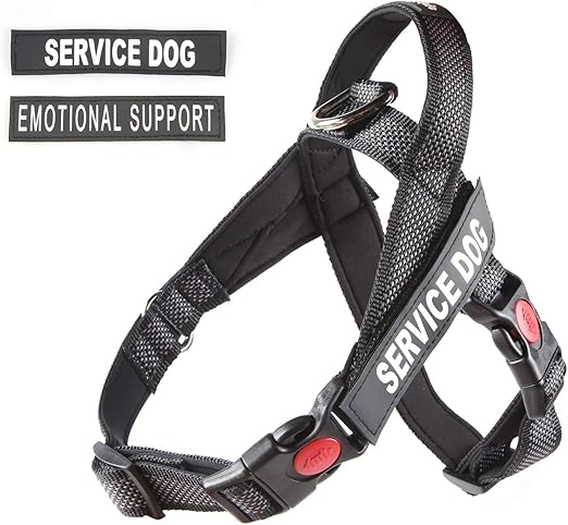 amazon service dog vest