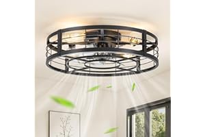 LEDIARY 23" Caged Ceiling Fan with Light and Remote, Low Profile Flush Mount Fandelier, Black Gold Bladeless Enclosed Small F