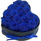 Qutawua Preserved Roses Heart Shape Box Valentines Day Gifts for Her Mothers Day Forever Flowers (Blue, 16 Roses)