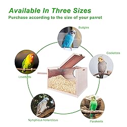Parakeet Nesting Box, Transparent Bird Box Bird