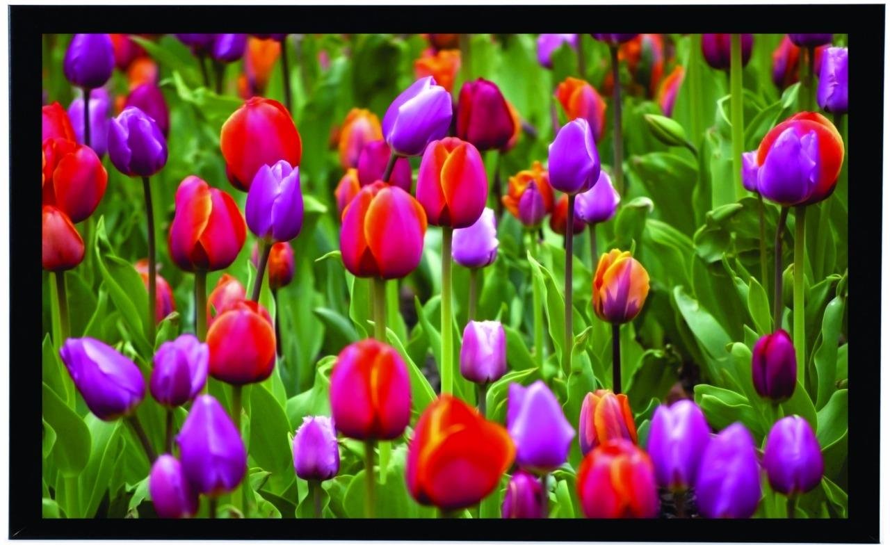 Best Home Decor Wall Sticker Tulip
