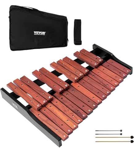 Amazon.com: Studio 49 AGd 2000 Alto Glockenspiel : Musical Instruments