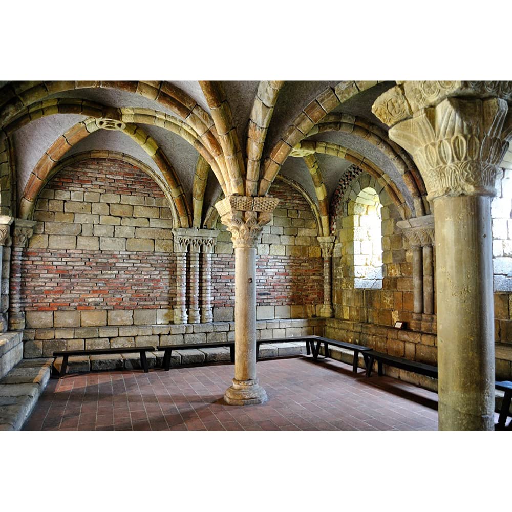 Aoihrraan 10x8ft Vintage Museum Backdrop Ancient Abbey Building Interior Stone Pillar Brick Wall Floor Photography Background History Culture Archeology Adults Artistic Portrait Photo Studio Props