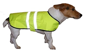 dog hi vis jacket