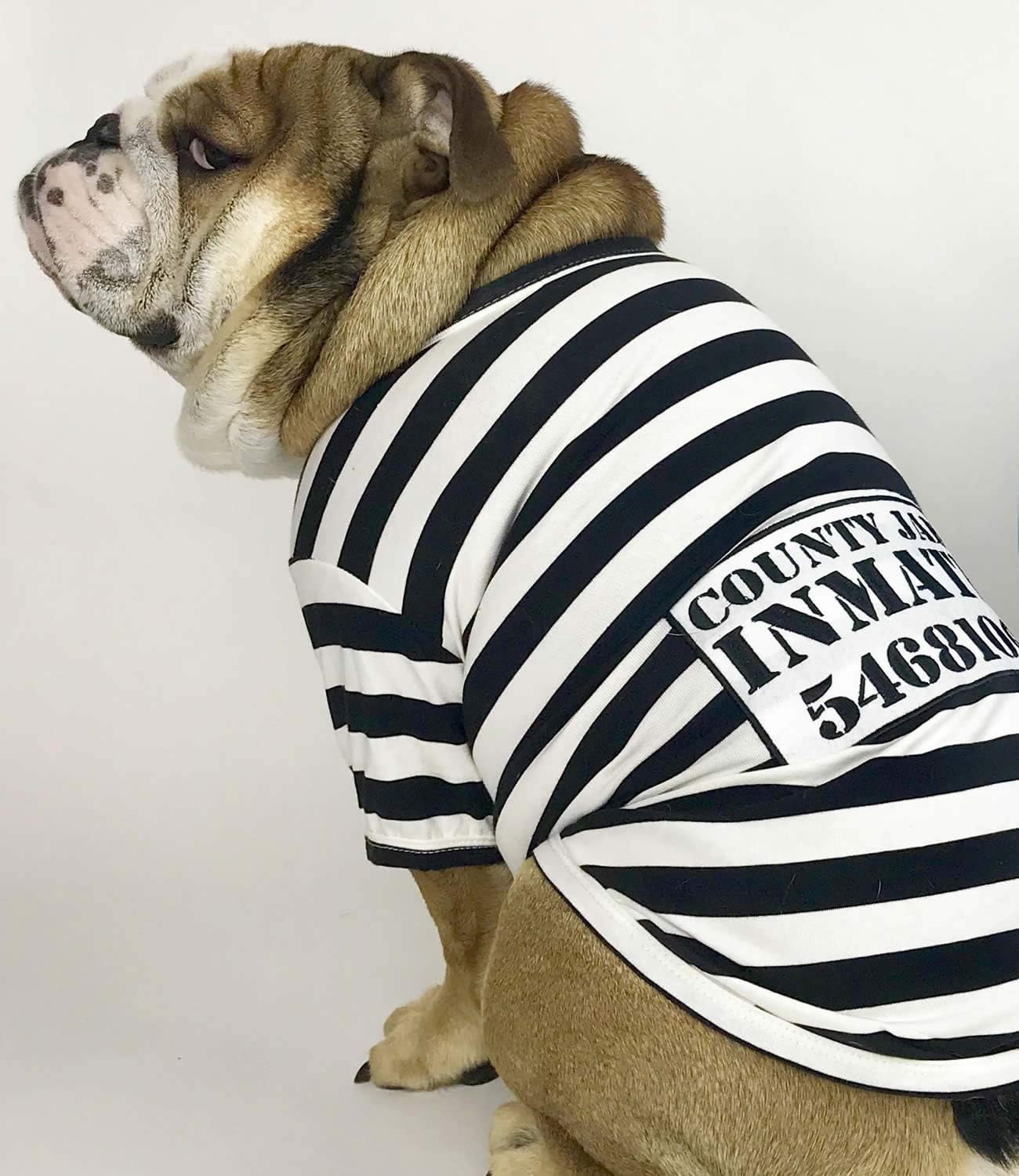 Parisian Pet, Funny Dog Cat Pet Costumes, Shirt Outfits for Halloween, Police, Prisoner, Ketchup, Mustard, Doctor - Image 5