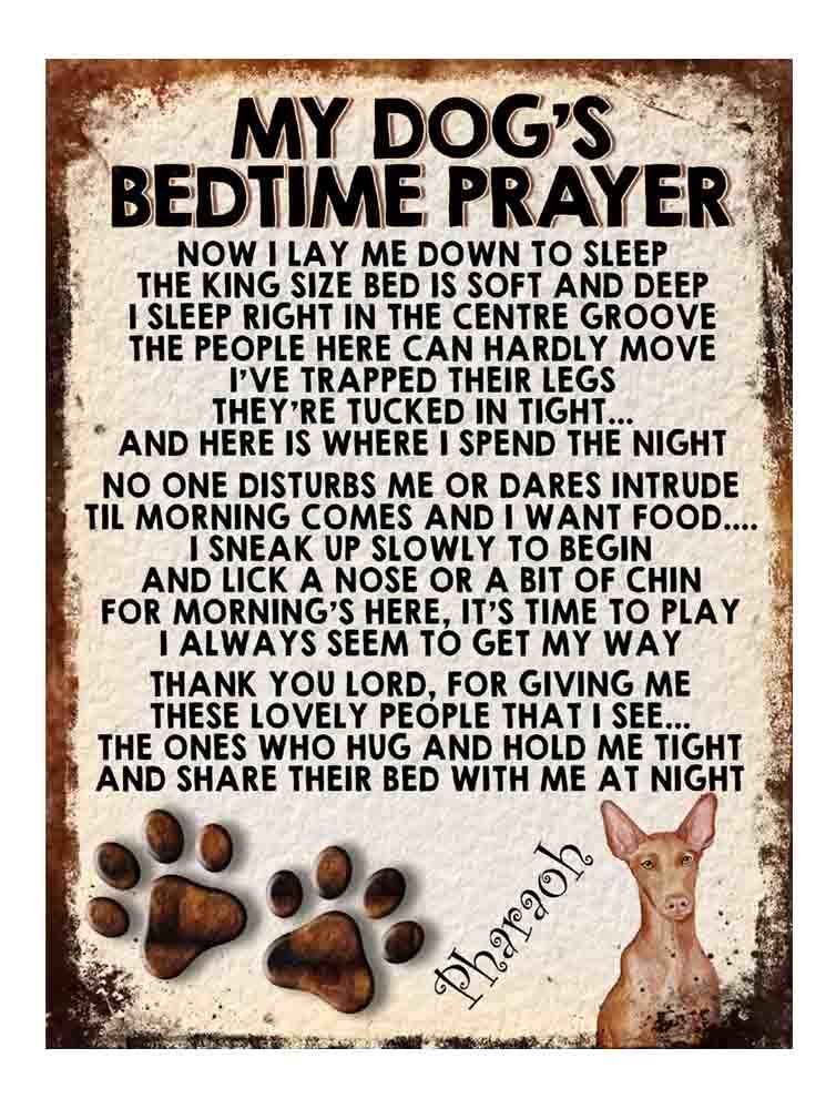 MY DOG'S BEDTIME PRAYER RETRO STYLE METAL TIN SIGN/PLAQUE DOG BREEDS (Pharaoh)