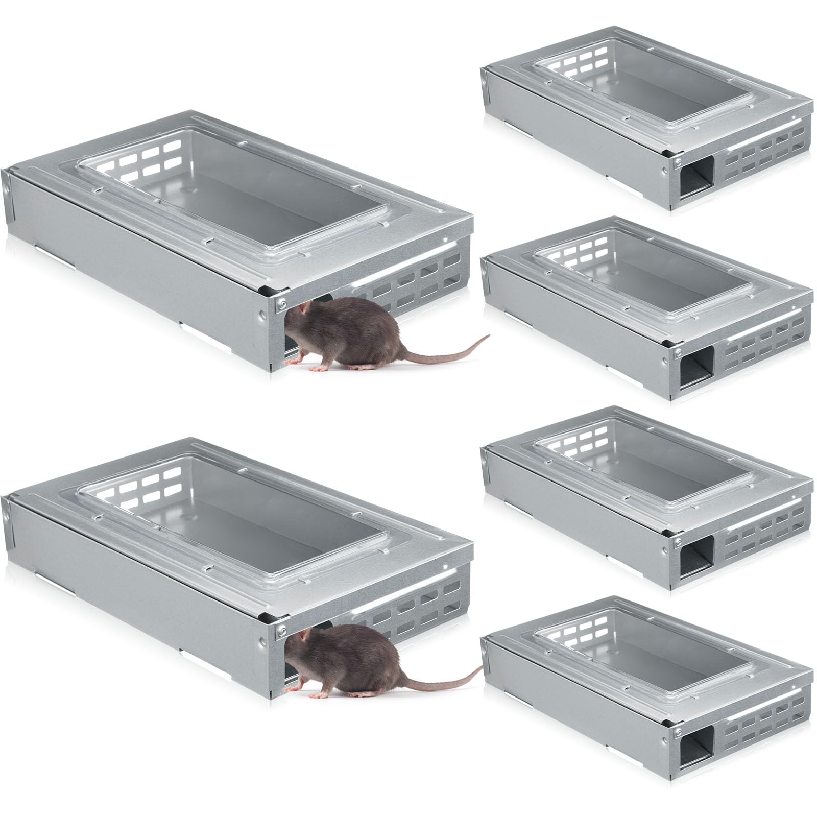 Photo 1 of Qualirey 4 Pack Multi Catch Mice Trap Clear Top Humanized Mouse Trap Rodent for Indoor Outdoor Rat Control Pet and Security (6.3 Inch,Silver)