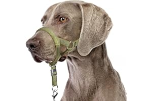 BARKLESS Sturdy No Pull Head Collar for Medium Large Dogs, Gentle Reflective Head Halter with Safety Link, Adjustable Nylon Dog Training Muzzle Leash for Walking Control (Green, L)