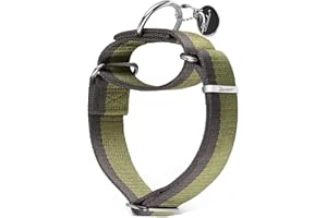 Dazzber Martingale Collar 1.5 Inch Wide 1200D Extra Strong Nylon Dog Collar, No Pull Heavy Duty Dog Collar with 2-Color Stripe for Medium to XLarge Dogs (Large, 1 1/2 Inch Wide, Military Green)