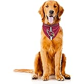 Littlearth NFL Arizona Cardinals Pet Bandana, Team Color, Small