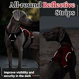 rabbitgoo Escape-Proof Dog Harness Medium XL Red with Handle Reflective view 9