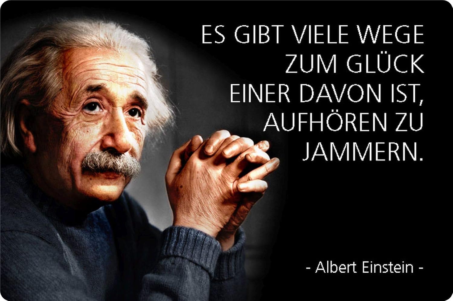 Amazon.de Blechschild Spruch Albert Einstein Wege zum Glück
