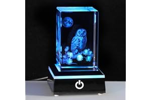 Qianwei 3D Crystal Owl Figurines & Gifts for Owl Lovers - Home Decorations, Keepsake & Paperweight