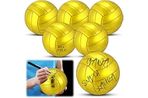 WinnerWhy 3/6/12 Pcs Gold Autograph Volleyball Official Size 2 Mini Trophy Volleyball Golden Custom with Air Pump for Trophies Anniversary College Coaching Gift Awards Party