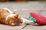 Petface Strawberry Plush Cat Toy with Natural Catnip Soft Plush Kittens view 6