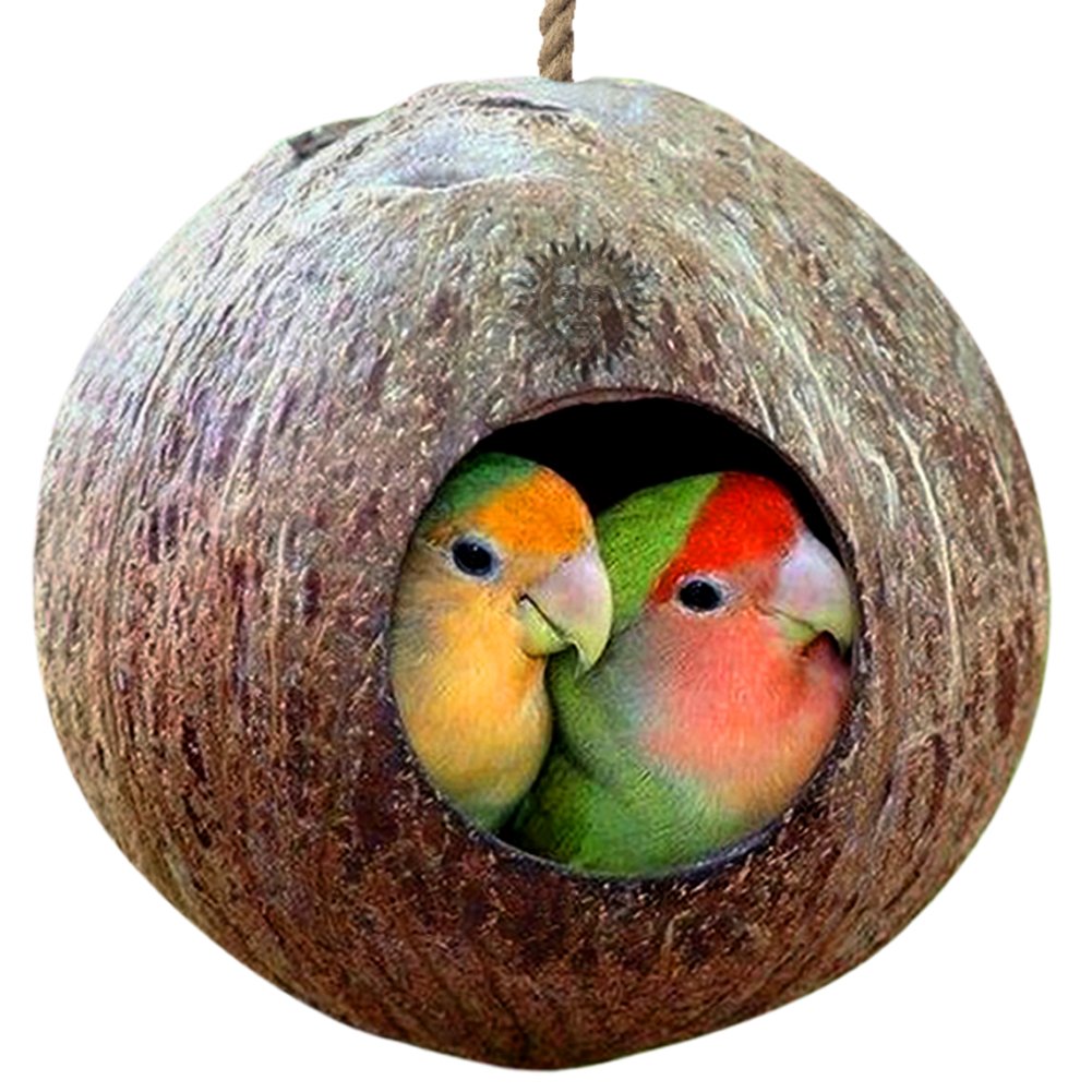 SunGrow Bird House: 100% Natural Coconut Shell: Nesting House or Bird Feeder: Sustainable Materials: Natural Textures Encourage Foot and Beak Exercise: Includes Hanging Loop