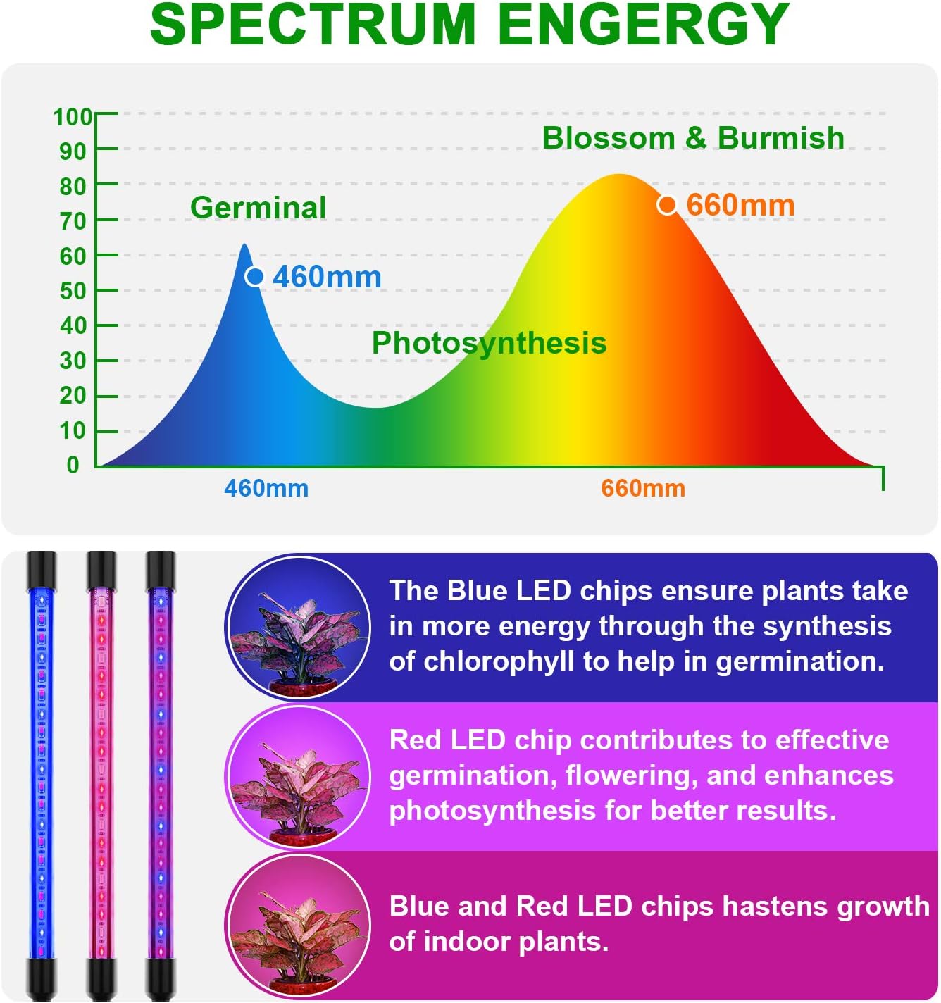 EZORKAS Grow Light, 80W Tri Head Timing 80 LED 9 Dimmable Levels Plant Grow Lights for Indoor Plants with Red Blue Spectrum, Adjustable Gooseneck, 3 9 12H Timer, 3 Switch Modes: Home Improvement